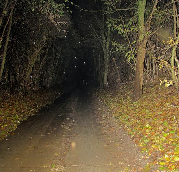 15e Nacht vd Doenker Wegskes (55).JPG - scarry...............